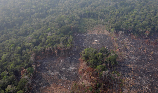 Una vista aérea de un sector deforestada del Amazonas cerca de Humaita, estado de Amazonas, en Brasil. REUTERS/Ueslei Marcelino. 22 de agosto de 2019.