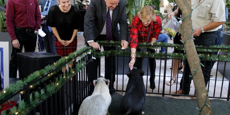 El alcalde de Miami-Dade, Carlos Gimenez, perdonó el miércoles a dos cerditas, Luna y Layla, que no terminarán en la cena de Nochebuena.