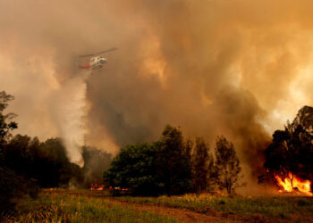 A fire bombing helicopter works to contain a bushfire along Old Bar road in Old Bar, New South Wales, Australia, November 9, 2019. AAP Image/Shane Chalker/via REUTERS  ATTENTION EDITORS - THIS IMAGE WAS PROVIDED BY A THIRD PARTY. NO RESALES. NO ARCHIVE. AUSTRALIA OUT. NEW ZEALAND OUT.