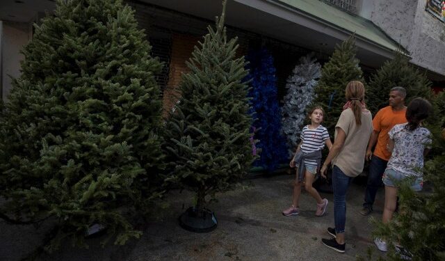 Fotografía realizada el 10 de diciembre que muestra a una familia de compras en una tienda de árboles de Navidad en Caracas (Venezuela). A menos de 10 días de la Nochebuena, José Gregorio Machado no sabe si podrá ese día servir la cena navideña y dar regalos a sus tres hijos y esposa, que le acompañan cada día en una precaria vivienda de tablones y techo agujereado en un refugio improvisado en el extremo este de Caracas. EFE/RAYNER PEÑA R.