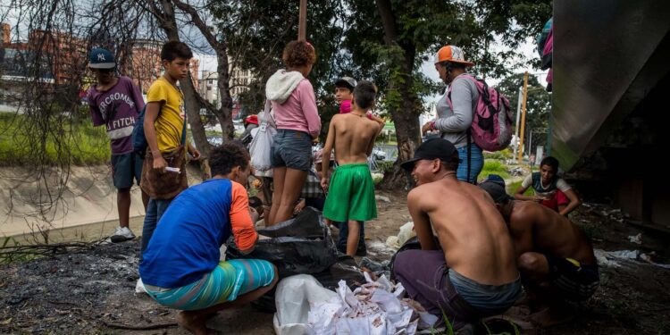 ACOMPAÑA CRÓNICA: VENEZUELA CRISIS. CAR124. CARACAS (VENEZUELA), 21/12/2018.- Un grupo de niños busca comida entre bolsas de basura que obtuvieron en una panadería, el pasado 10 de noviembre de 2018, en el barrio Las Mercedes de Caracas (Venezuela). Durante dos meses Efe se mantuvo en las calles de la capital venezolana observando el día a día de los niños que, en su mayoría, ocupan espacios públicos del este de Caracas donde además de mendigar han creado un elaborado sistema para sobrevivir. EFE/Miguel Gutiérrez/ATENCIÓN EDITORES: Esta imagen hace parte de un fotoensayo de 40 fotos