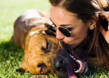 Portrait of beautiful young woman playing with her dog in the park.