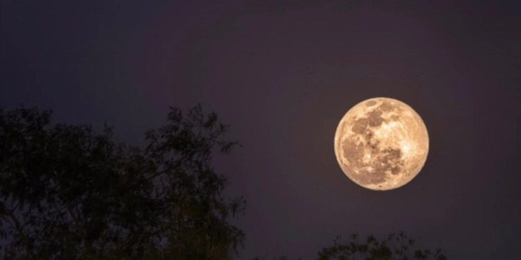 La "Luna de Nieve" desde Monterrey (Foto: Twitter @angel_dsv)