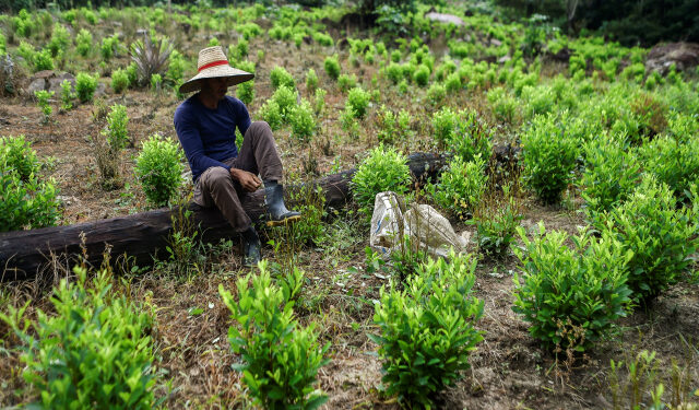 A Venezuelan migrant working as a "Raspachin" (farmer collector of coca leaves), puts his boots on at a coca plantation in the Catatumbo region, Norte de Santander Department, in Colombia, on February 9, 2019. - Many Venezuelan who fled their country stopped being workers, taxi drivers, fishermen or sellers to collect the leaf that is used to make cocaine, an illegal activity that they had barely heard about and that tears them physically and morally. (Photo by Luis ROBAYO / AFP)