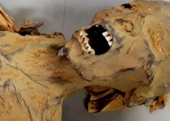 La momia de la mujer que grita. Imágen Universidad de El Cairo. Zahi Hawass.