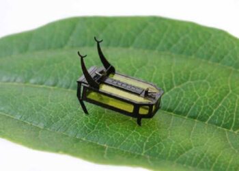 Científicos crean un robot del tamaño de un escarabajo movido por metanol.