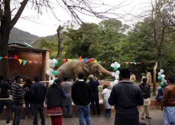 Kaavan. Foto EFE