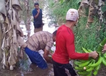 El río Chama sigue desbordado en el Sur del Lago. Foto cortesía Ender Márquez