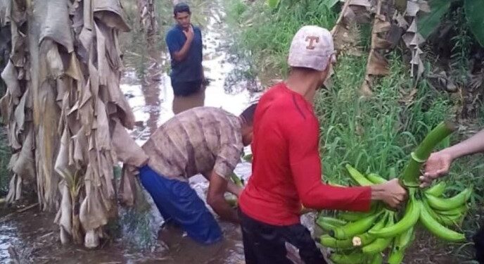 El río Chama sigue desbordado en el Sur del Lago. Foto cortesía Ender Márquez