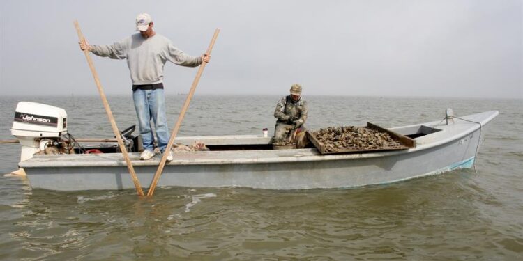 Bahía de Apalachicola, Florida EEUU. Foto EFE.