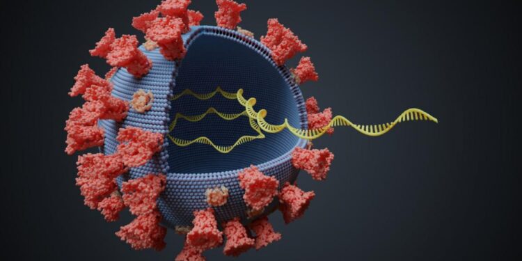 Nueva cepa coronavirus. Imágen referencial.