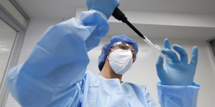 Investigadores trabajan con muestras de la Covid-19 ayer, en el Laboratorio de Diagnóstico en Enfermedades Emergentes y Reemergentes (LaDEER) de la Universidad de Guadalajara (UDG), estado de Jalisco (México). EFE/ Francisco Guasco