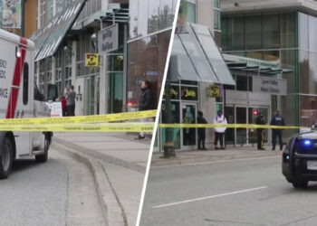 Biblioteca Canadá. Ataque cuchillo. Foto Telemundo 51