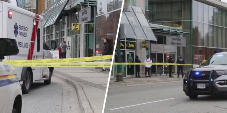 Biblioteca Canadá. Ataque cuchillo. Foto Telemundo 51