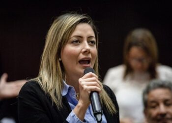 La diputada de la legítima Asamblea Nacional (AN), Liz Jaramillo. Foto de archivo.