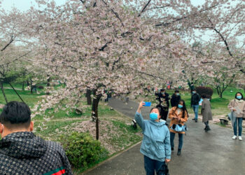 GRAF9418. WUHAN  (CHINA), 22/03/2021.- Varias personas disfrutan del festival de los cerezos en flor en el Jardín de los cerezos del Lago del este de Wuhan, China este lunes. Un año después del primer confinamiento mundial por la covid, la ciudad china de Wuhan, en la que se registró el primer brote de la enfermedad que causó la pandemia, puede celebrar de nuevo su festival de los cerezos en flor, una de sus señas de orgullo. EFE/ Víctor Escribano