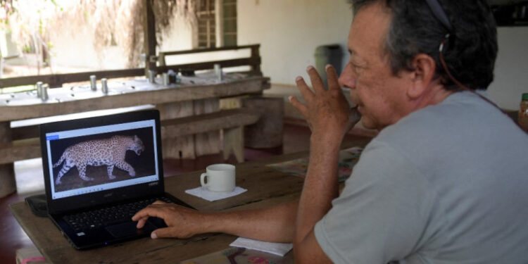 Colombian farmer Jorge Barragan shows a jaguar tht appeared in a trap's camera on his computer at La Aurora natural reserve, Hato Corozal municipality, Casanare department, Colombia on April 9, 2021. - La Aurora is a natural reserve where cattle ranchers lead conservation efforts to protect the jaguar population in southeastern Colombia. (Photo by Raul ARBOLEDA / AFP)