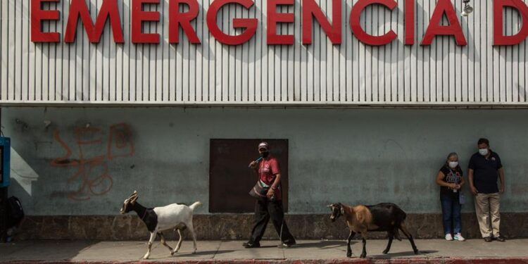 Un hombre camina junto a sus cabras frente al Hospital San Juan de Dios, donde se atiende a pacientes de coronavirus en Ciudad de Guatemala. EFE/Esteban Biba/Archivo