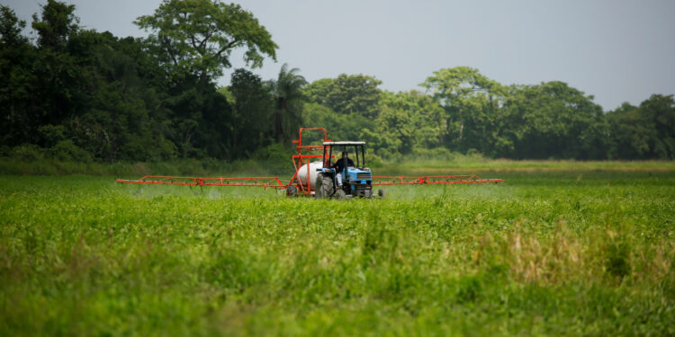 A farmer sprays pesticide on a field to ready it for the planting of corn in Turen, Venezuela May 11, 2021. Picture taken May 11, 2021. REUTERS/Leonardo Fernandez Viloria