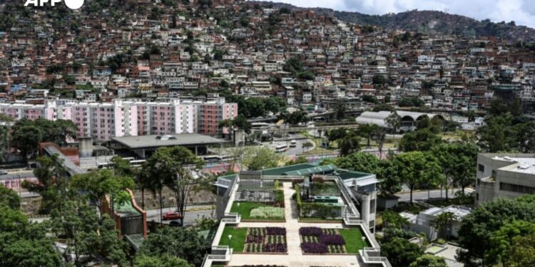 El techo verde de la Universidad Católica Andrés Bello (UCAB) en Caracas, el 23 de junio© AFP Yuri CORTEZ.