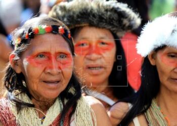 La zona amazónica intangible de Ecuador. Foto EFE.