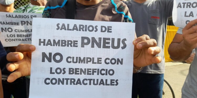 Trabajadores PNEUS