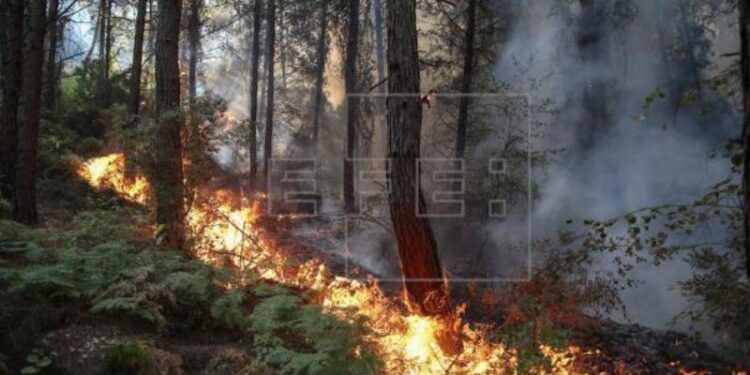 Incendios Turquía. Foto EFE.