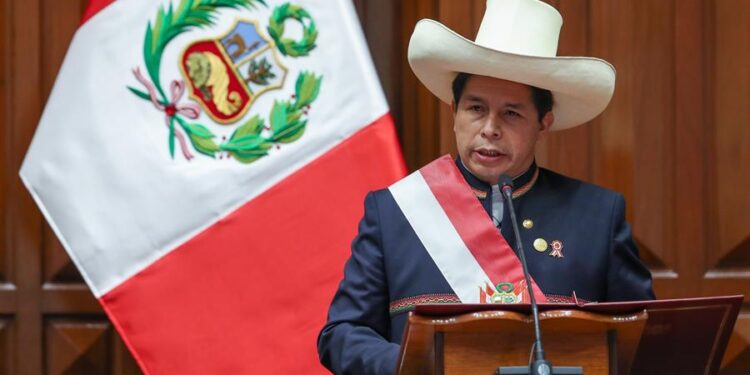 Fotografía cedida por el Congreso de Perú de Pedro Castillo hablando durante la ceremonia de toma como nuevo presidente de Perú, hoy en Lima. Pedro Castillo asume hoy la Presidencia del Perú para el período 2021-2026. EFE/ Cortesía Congreso de Perú/Luis Enrique Saldana/