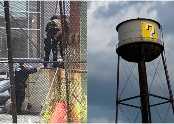 Policía de NY. Foto cortesía.