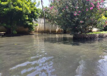 Playa Verde, Vargas. Foto La Verdad de Vargas.