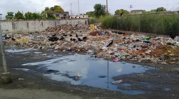 Los mercados municipales en Ciudad Guayana. Foto CCN