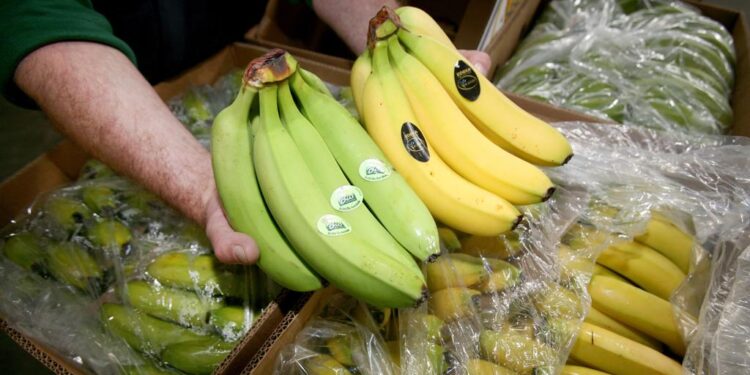 Supermercado Alemania. Bananas. Foto agencias.