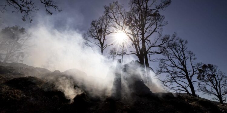 Incendios forestales  Foto agencias.