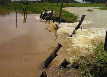 Río Arauca. Apure. Foto Prensa