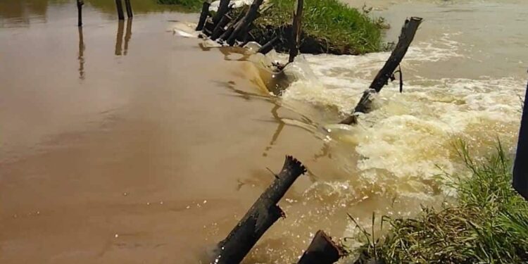 Río Arauca. Apure. Foto Prensa