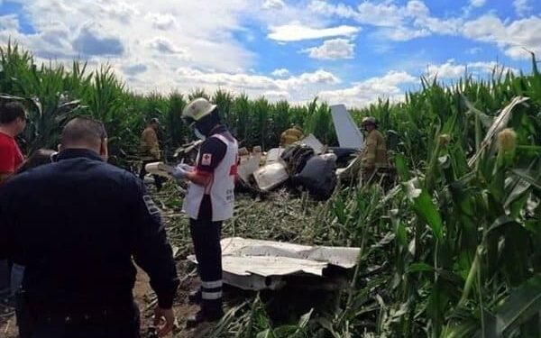 24/07/2019 Avioneta
POLITICA CENTROAMÉRICA MÉXICO SOCIEDAD
TWITTER