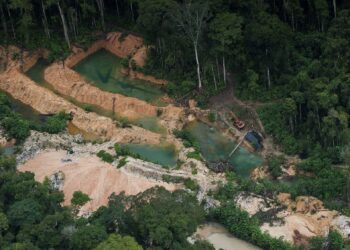 Para (Brazil), 28/10/2020.- An undated handout photo made available by NGO Red Amazonica de Informacion Socioambiental Georeferenceda (RAISG) shows mining activity in the National Park (Parna) Jamanxim, Para State, Brazil. The mining industry affects 31 percent of the indigenous territories of the Amazon, a jungle considered "the lung of humanity," as revealed on 27 October by a study by Ecociencia, the Ecuadorian subsidiary of the Amazonian Network of Georeferenced Socio-environmental Information (RAISG). (Brasil) EFE/EPA/Daniel Parananayba / HANDOUT HANDOUT EDITORIAL USE ONLY/NO SALES