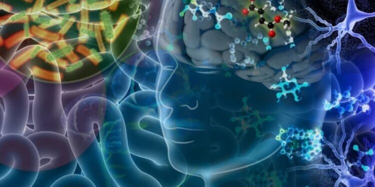 Células del cerebro. Imagen referencial.