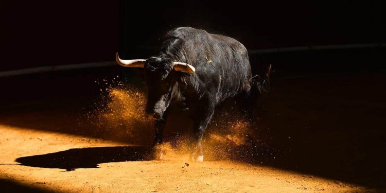 Corridas de toros. Foto de archivo.