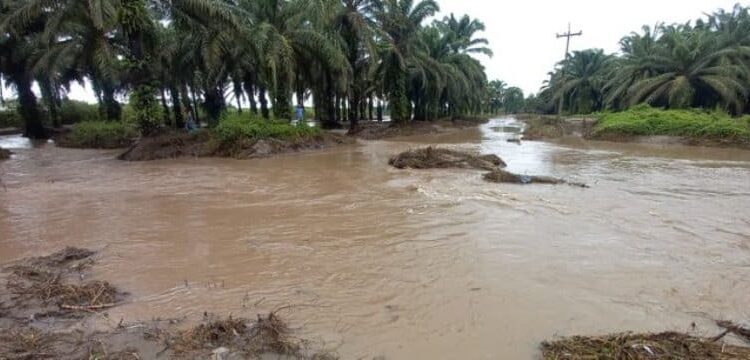 Honduras afectados por la tormenta Julia. Foto agencias.