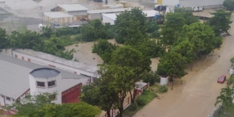 La GUaira. Foto captura.