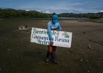 Un miembro de la fundación ecológica Ecobrion sostiene un cartel que dice “Bienvenidos a la laguna La Reina” en el humedal costero del sector Valle Seco en Higuerote, estado Miranda, Venezuela, el 4 de octubre de 2022. – De niña, Ramona Rodríguez pescaba camarones con su padre en La Reina, una laguna cerca de Caracas rodeada de manglares con raíces que emergen sobre el agua, formando bosques vitales para regular la temperatura y canalizar el agua de lluvia. Pero este humedal ubicado entre las localidades de Higuerote y Carenero, a unas dos horas por tierra de la capital venezolana, ha sido objeto de deforestación y contaminación, lo que lo pone en peligro. (Foto de Federico PARRA / AFP)