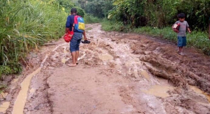 Sierra de Perijá, Zulia. Foto de archivo.