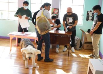 Jorge Yunda, candidato a la Alcaldía de Quito, llegó a al sector de San Roque acompañado de sus dos mascotas. Foto @DiarioExtraEc