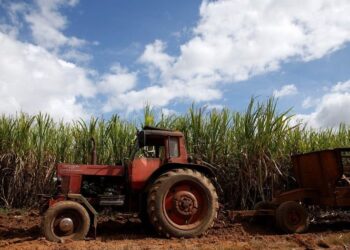 Un tractor cerca de un campo de caña en Florida, Cuba (REUTERS. Carlos García Rawlins)