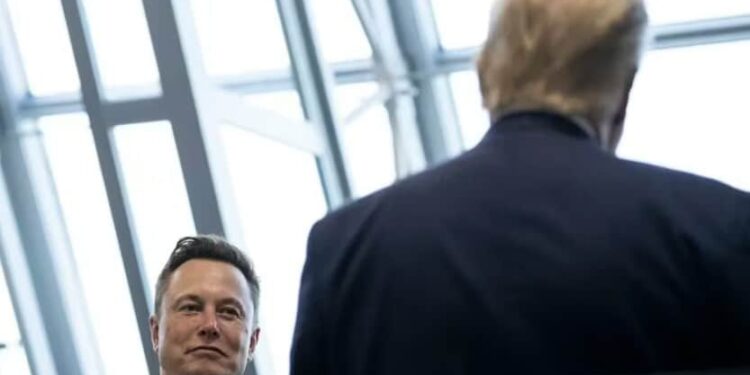 Elon Musk. Donald Trump. Foto de archivo.