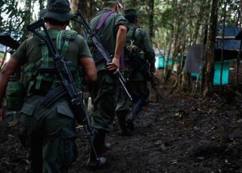 El Frente Primero tenía aproximadamente unos 110 integrantes y la disidencia que se presentó es de alrededor de 60 hombres, señalaron jefes de las Farc. - Foto AFP El País.com.co