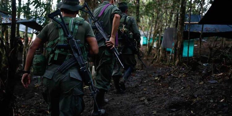 El Frente Primero tenía aproximadamente unos 110 integrantes y la disidencia que se presentó es de alrededor de 60 hombres, señalaron jefes de las Farc. - Foto AFP El País.com.co