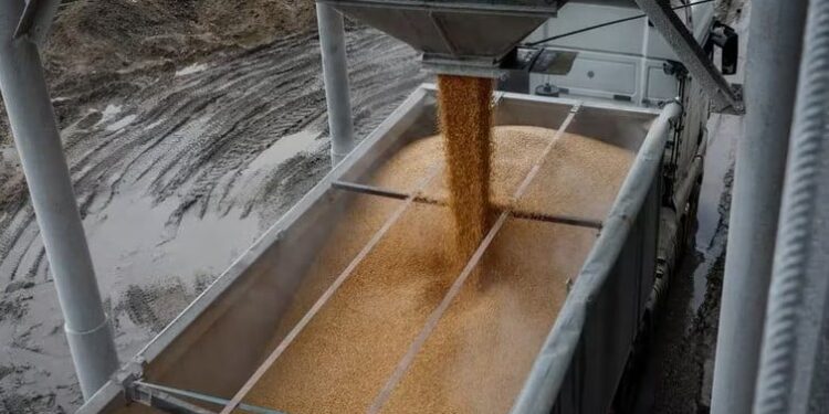 Ucrania, Rusia y Turquía discutirán este viernes la extensión del acuerdo para la exportación de cereales. REUTERS