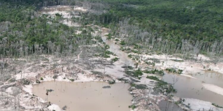 Amazonía venezolana. Foto de archivo.